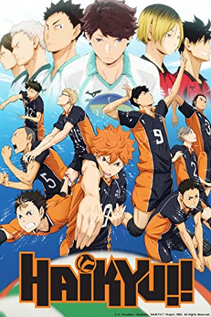 Watch Full Movie :Haikyuu!! (2014 )