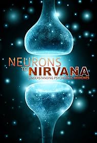 Watch Free Neurons to Nirvana (2013)