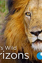 Watch Full Movie :Africas Wild Horizons (2015 2016)